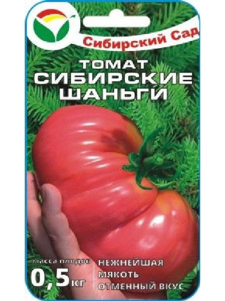 Томаты сибирской селекции: выбираем лучшие сорта и гибриды для открытого грунта и теплицы