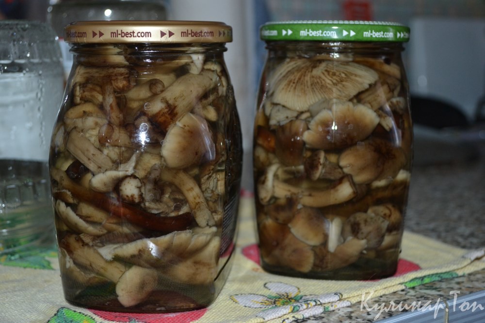 Закрыть грибы на зиму в банки рецепты приготовления с фото пошагово