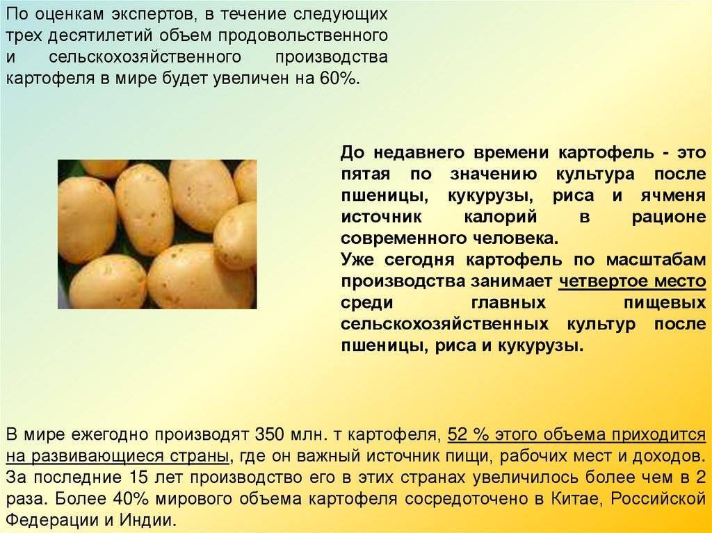 Картофель уладар: описание и характеристика сорта, фото, отзывы