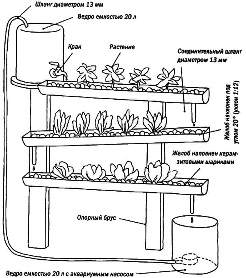 Клубника на гидропонике: технология выращивания, выбор сорта, подготовка субстрата и создание оптимальных условий для роста (115 фото)