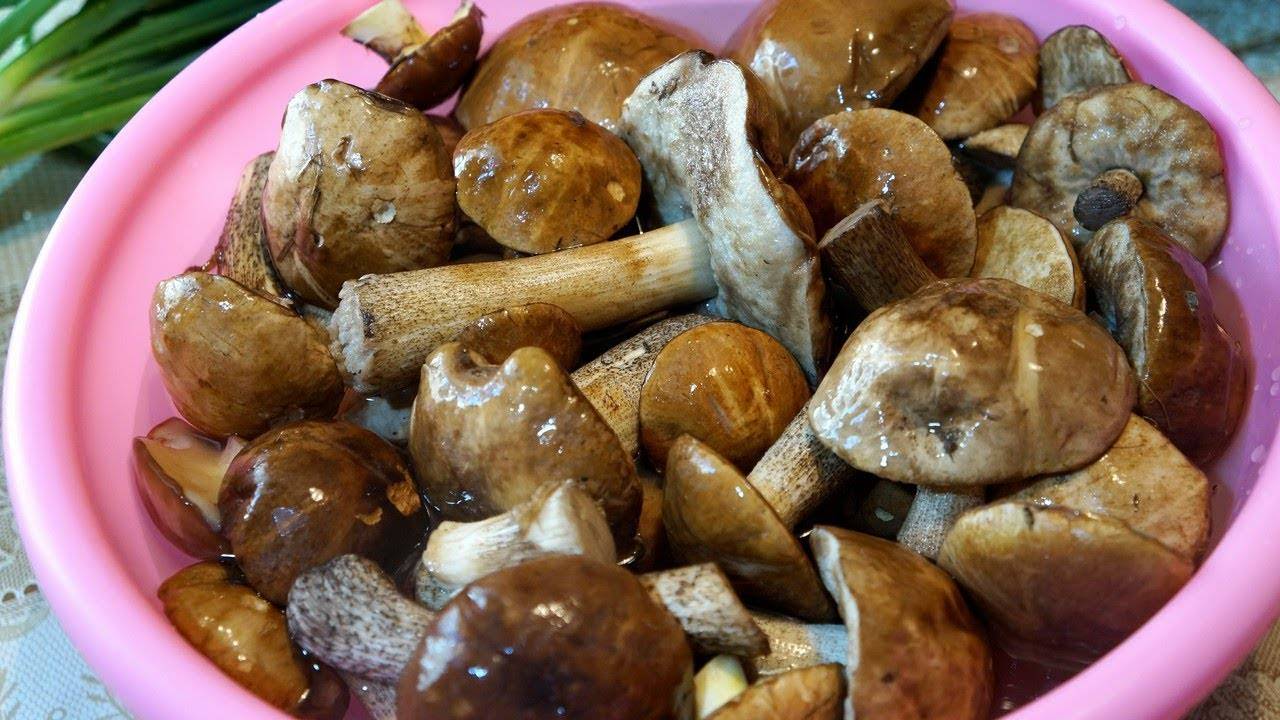 Только 5 способов заморозки белых грибов