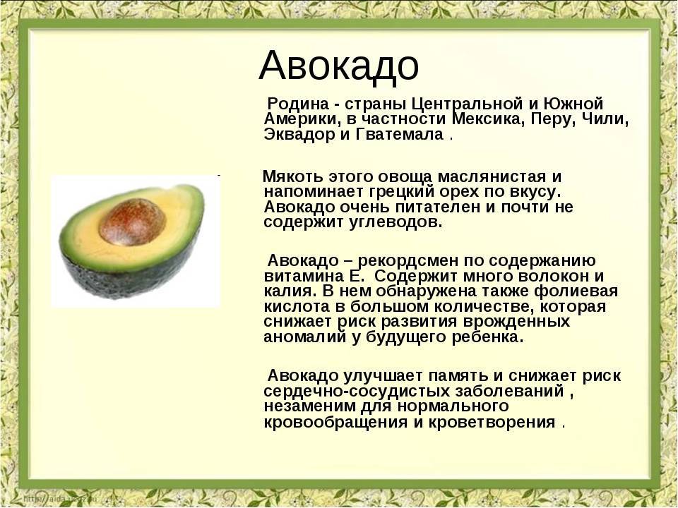 Масло авокадо: самое полезное масло на планете?