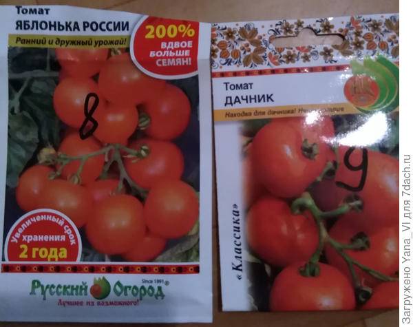 Сорт томата яблонька россии — описание и советы по выращиванию