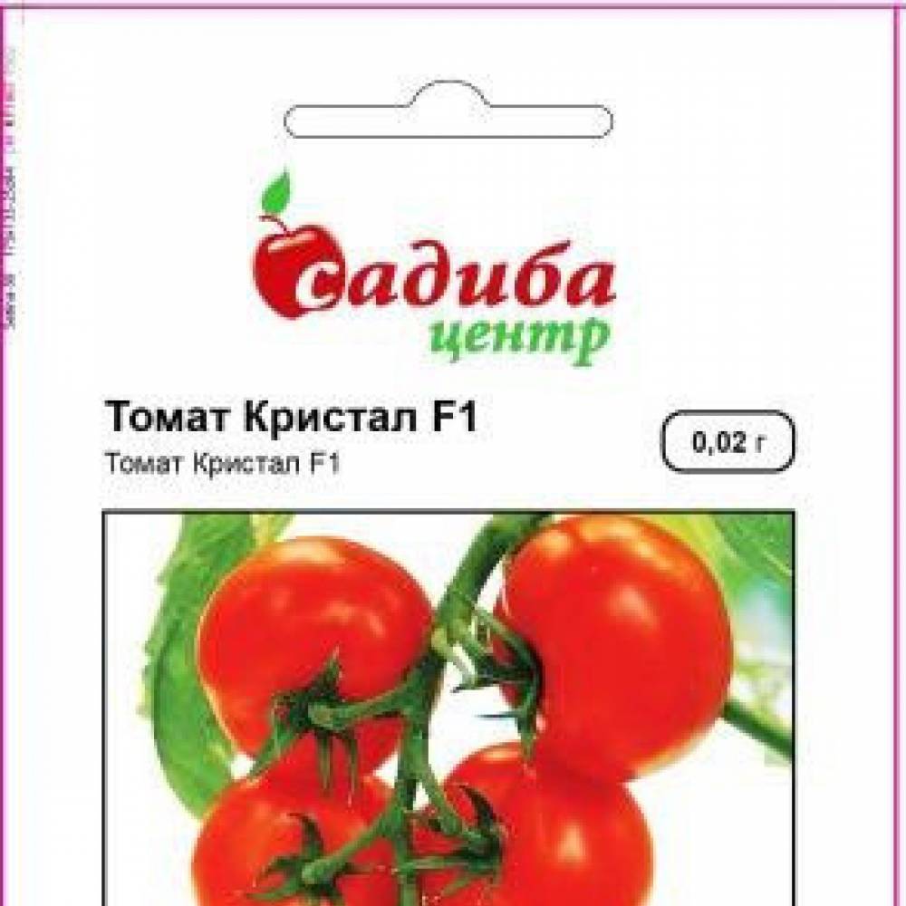 Описание сорта томата вернер, его характеристика и урожайность