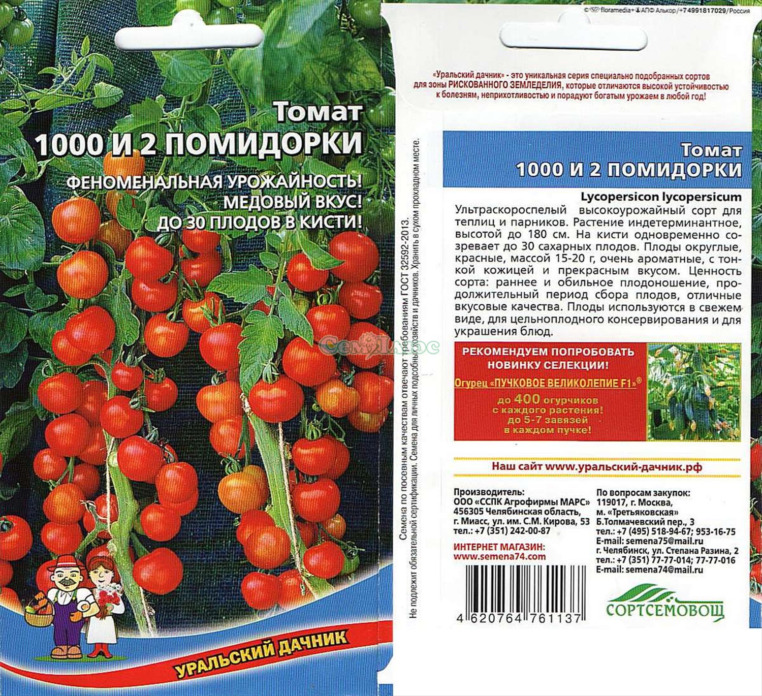 Сорта томатов для урала - для теплицы и открытого грунта