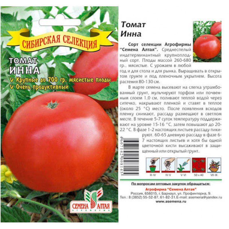 Фото, отзывы, описание, характеристика, урожайность сорта томата «царский подарок».