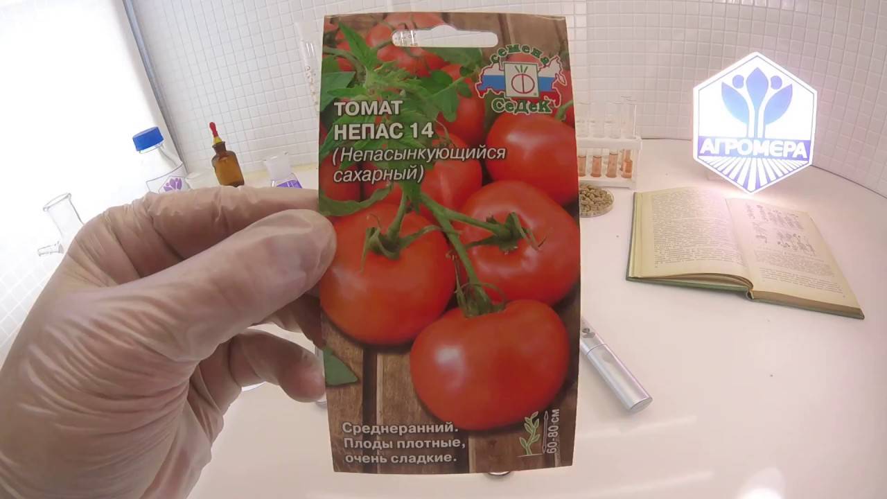 Плоды с большой устойчивостью к жаре — томат непас 6 непасынкующийся красный с носиком: описание сорта