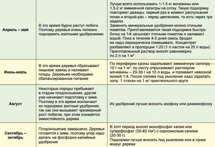 Шикарный урожай слив - закладываем весной: от советов к действиям