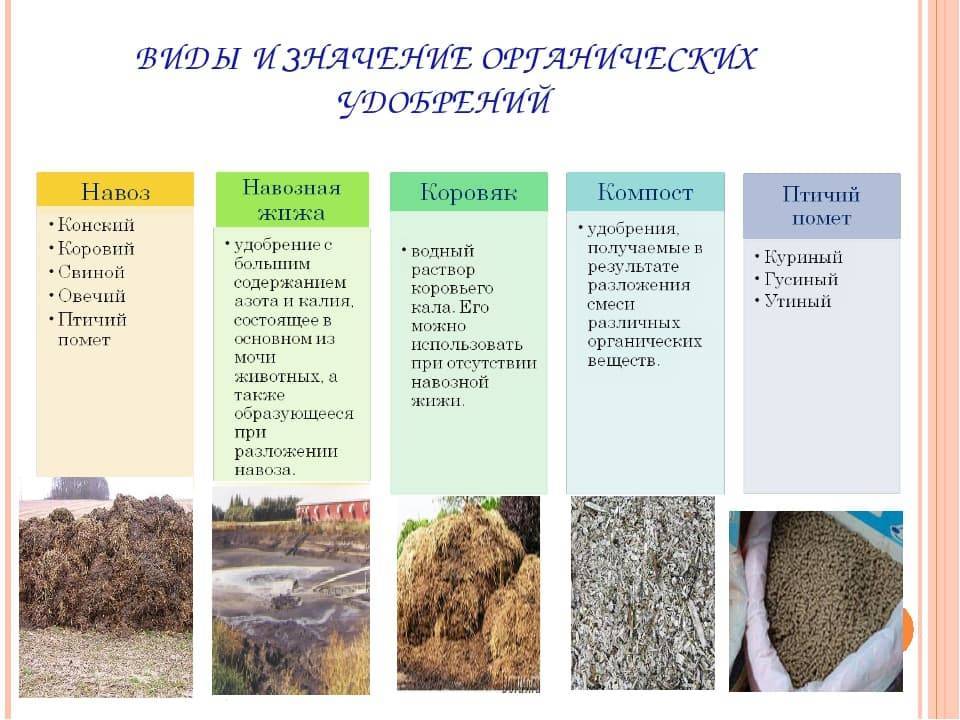 Одинаковое ли количество перегноя содержится в разных образцах почвы с помощью какого опыта