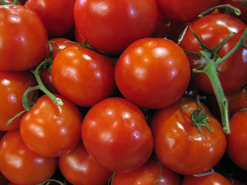 Топ-10 лучших сортов томатов для открытого грунта – рейтинг 2021 года