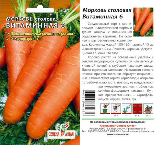 Посадка моркови под зиму: как сделать это правильно