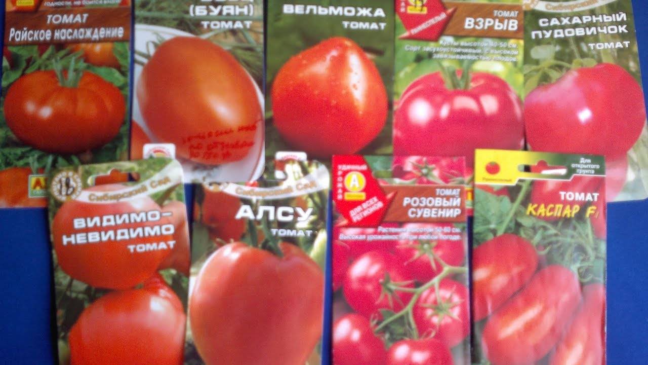Отличный ранний сорт для закусок — томат изюминка: описание помидоров и характеристики