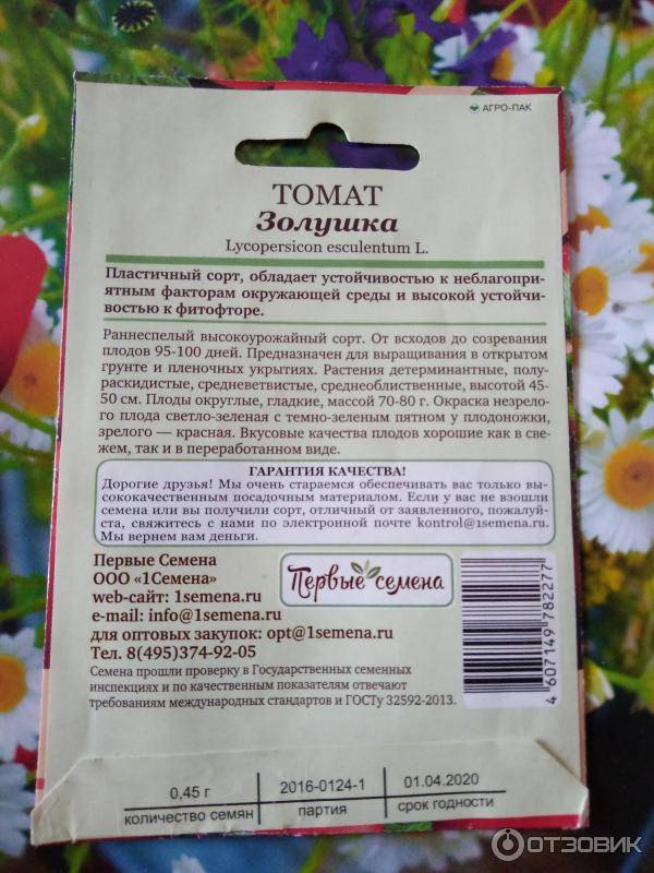 Выращивание рассады томатов в домашних условиях – правильно, пошаговая инструкция с фото, видео