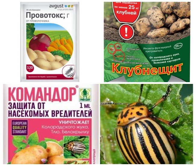 Рейтинг лучших средств от колорадского жука 2023 года: самые эффективные, их применение