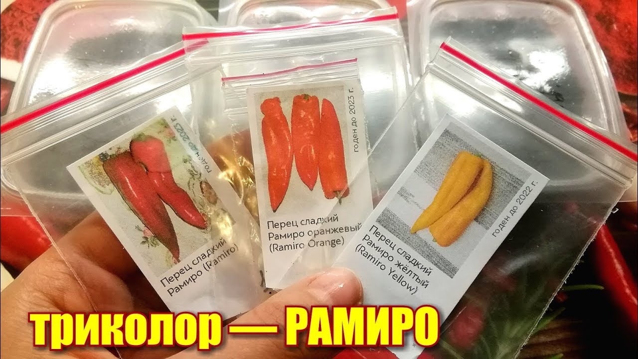 Спрингбокс Перец Семена Купить