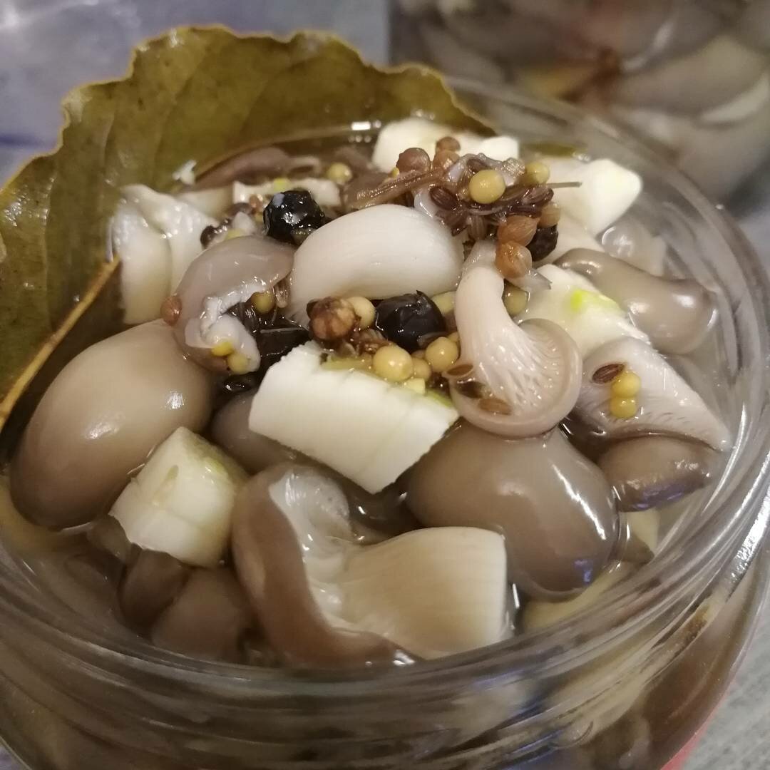 Вешенки быстрого приготовления: маринованные, на зиму, 11 блюд