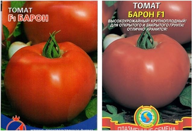 Томат черный барон: описание, характеристика, урожайность сорта, особенности выращивания, отзывы, фото