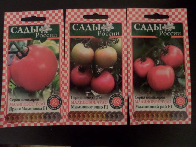 Какие существуют сорта томатов малинового оттенка?