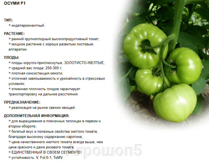 Томат фенда: характеристики сорта, урожайность и отзывы