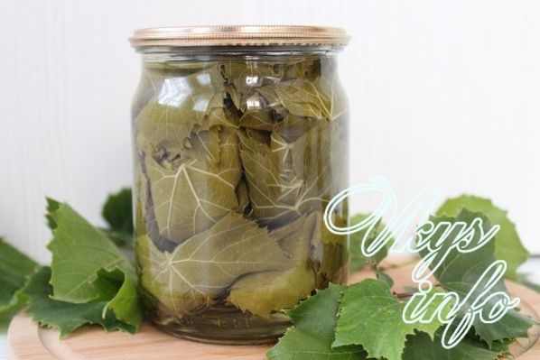 7 рецептов как мариновать виноградные листья
