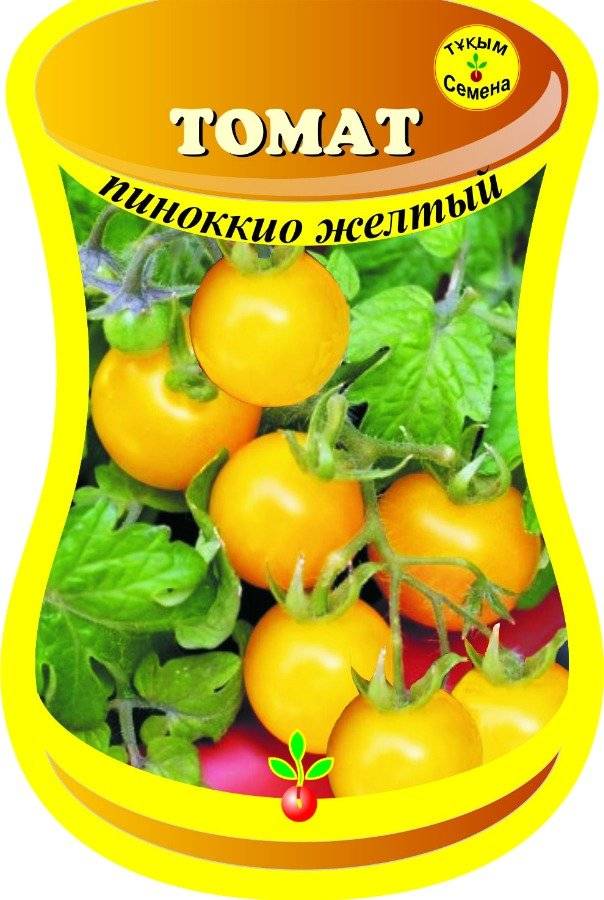 Правила посадки и выращивания сорта томатов пиноккио