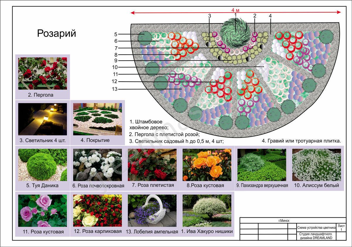 Цветник из тюльпанов для дачи и сада: фото примеры, выбор цветов, посадка и уход