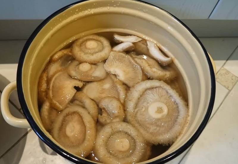 Солёные грибы - универсальный рецепт