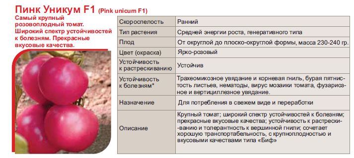 Помидоры пинк уникум описание сорта фото