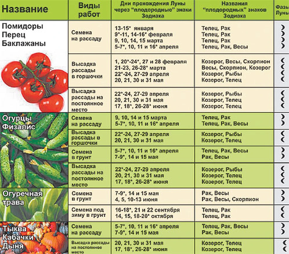 Посадка моркови в июле 2023 году: какую и когда посадить, благоприятные дни по лунному календарю