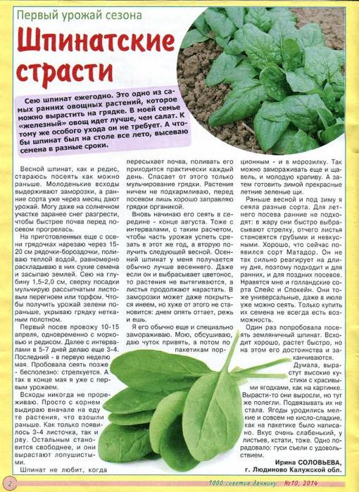 Описание и лечение морщинистой мозаики картофеля, профилактика