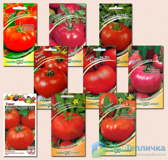 Топ-10 лучших сортов томатов для теплиц – рейтинг 2023 года