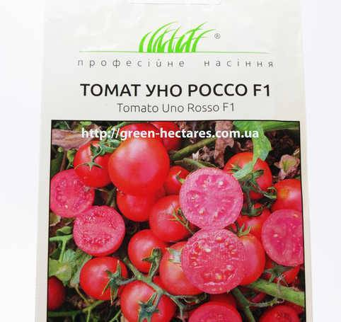 Томат лабрадор: описание сорта, фото, отзывы, урожайность, посадка и уход