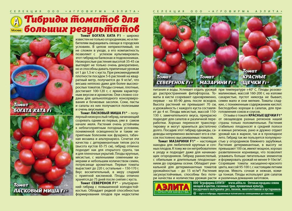 Сорт помидоров ракета: отзывы, описание, выращивание, урожайность, характеристики с фото