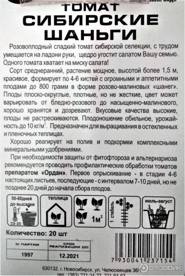 Томат сибирские шаньги характеристика и описание сорта
