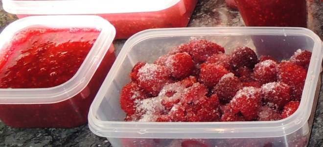 Как заморозить малину на зиму в холодильнике или морозильной камере с сахаром