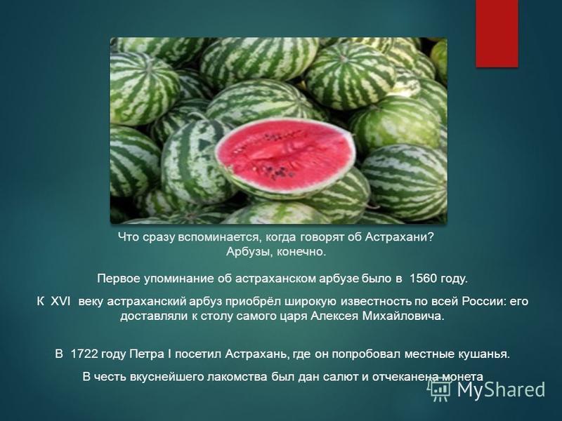 Астраханский арбуз: описание сорта, отзывы, фото