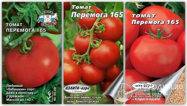 Томат евпатор f1: описание, отзывы (45), фото. особенности выращивания | tomatland.ru