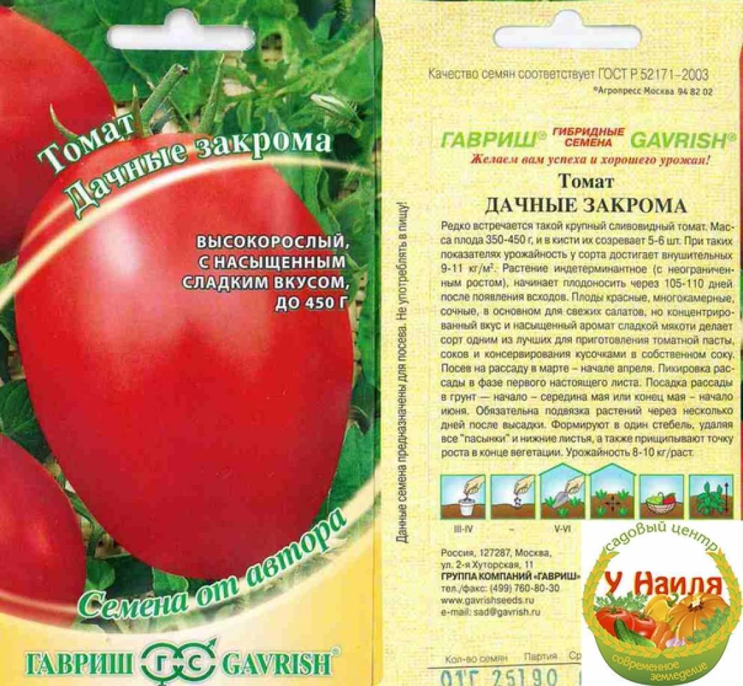 Томат первоклашка: характеристика сорта, описание, отзывы, урожайность - все о помидорках