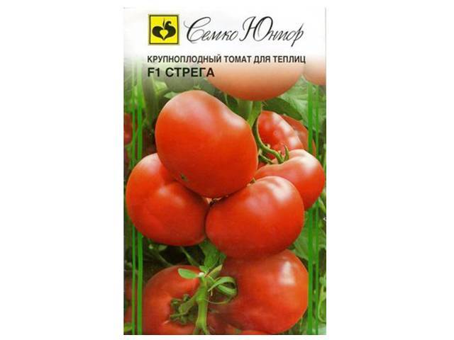 Описание, характеристика, посев на рассаду, подкормка, урожайность, фото, видео и самые распространенные болезни томатов сорта «стреза».