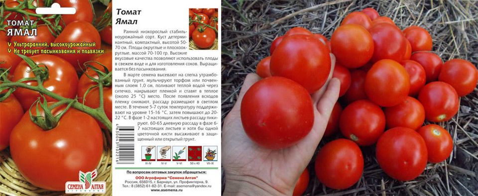 Семена помидор + самые лучшие сорта томатов для сибири. каталог на 2022 год