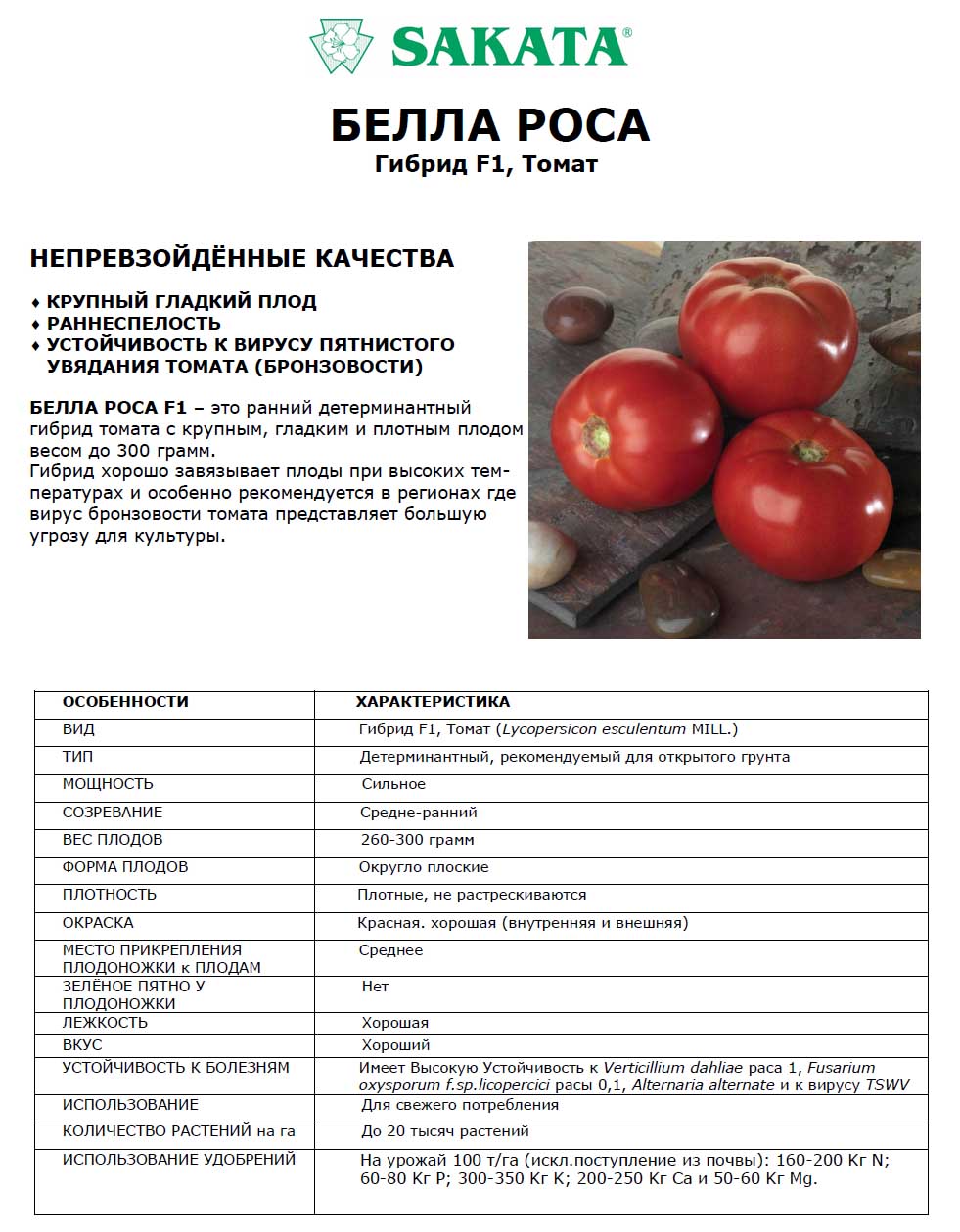 Описание гибридного томата Бэлла роса и правила выращивания в открытом грунте