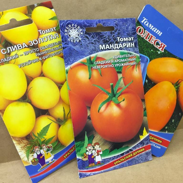 Томат мандаринка: характеристика и описание сорта, урожайность с фото