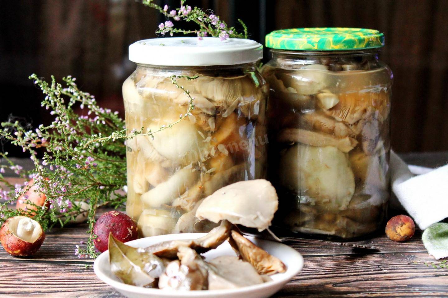 Консервирование грибов: рецепты приготовления закуски на зиму в домашних условиях