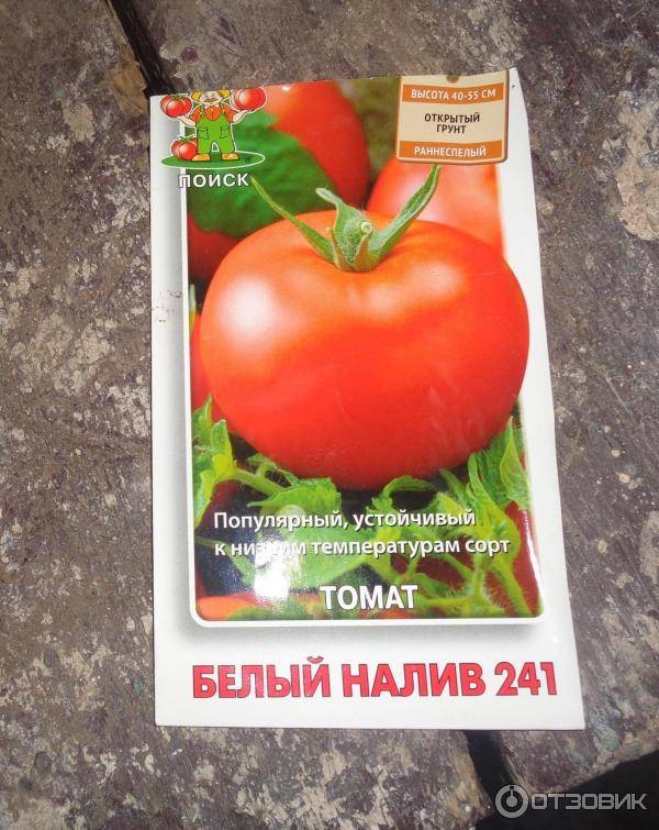 Описание сорта томатов белый налив с фото: характеристики помидоров и секреты выращивания