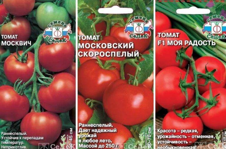 Описание томата сахарные пальчики, выращивание и правила посадки