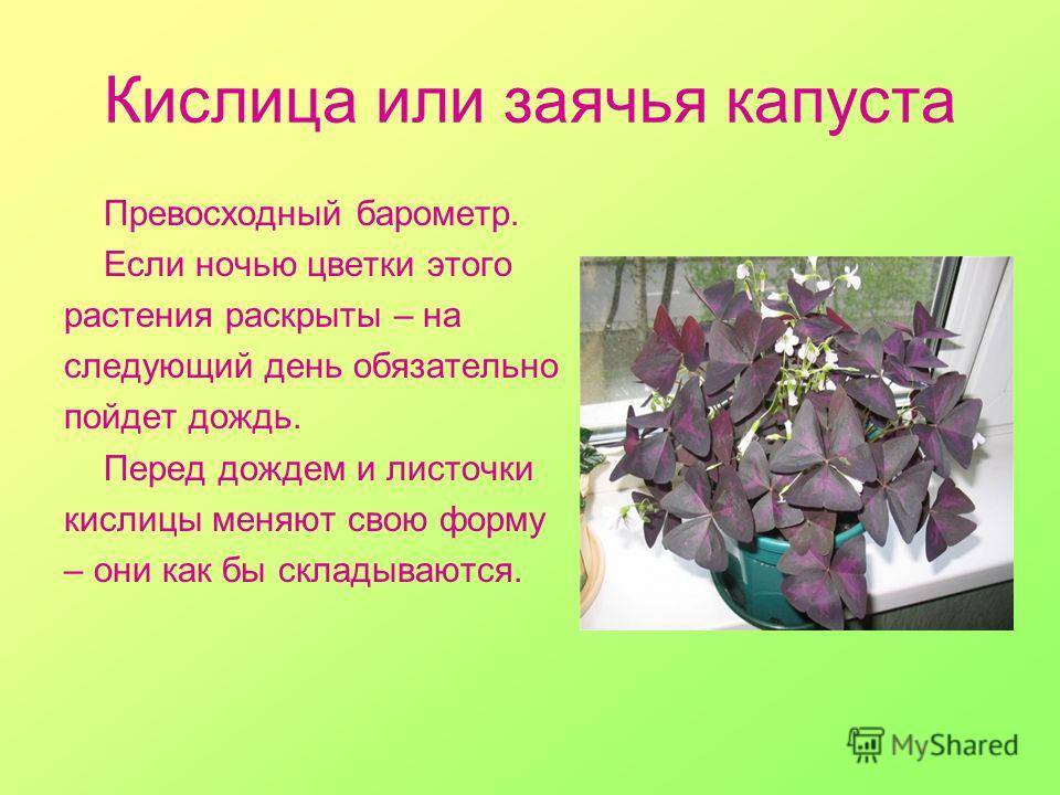 Минеральная вода ессентуки 4, 17: разница, показания и противопоказания