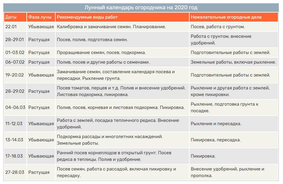 Как нужно правильно пикировать помидоры и когда это делать