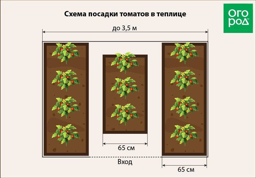 По какой схеме сажать перец в открытый грунт