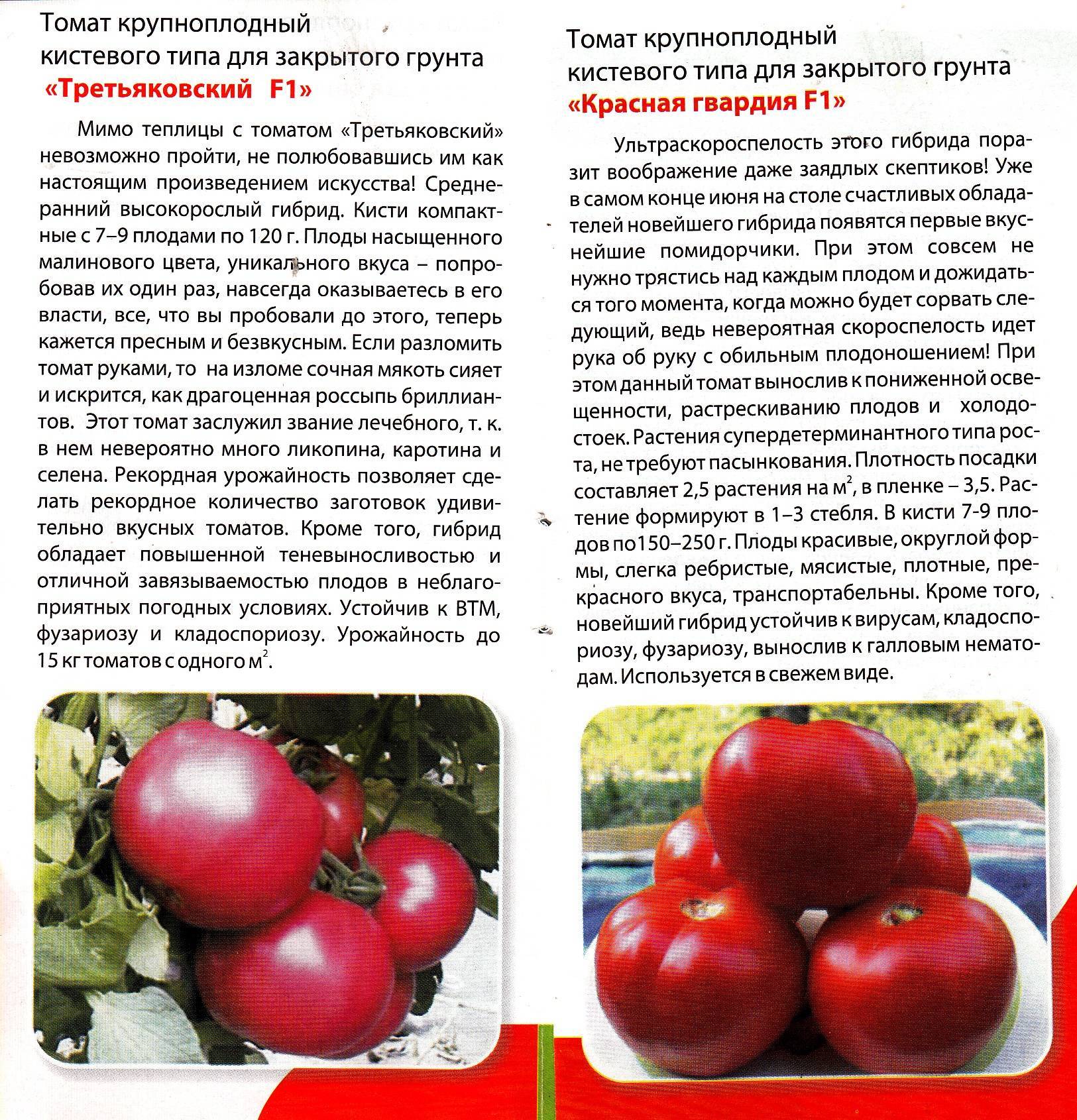 Описание сорта томата красный уголь, его характеристика и урожайность – дачные дела