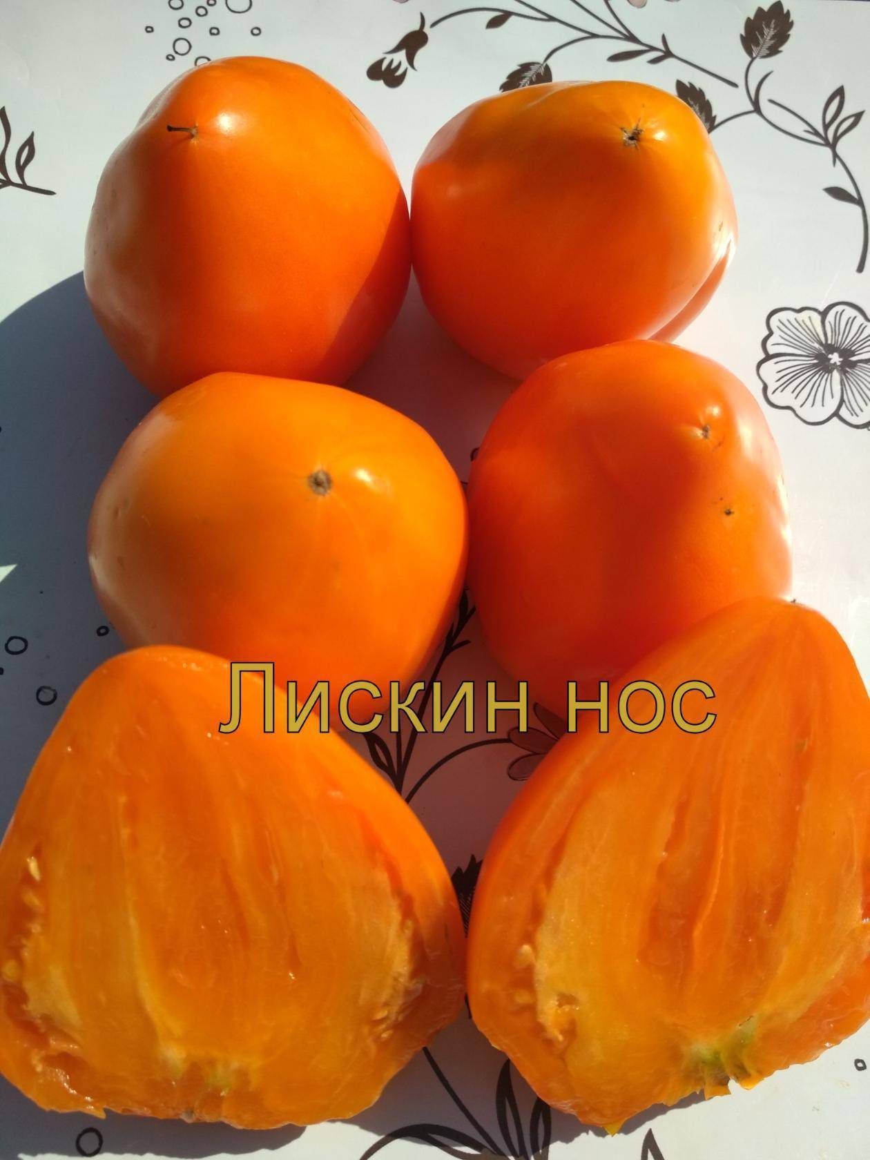 Оранжевое сердце: все о культивации томата повышенной мясистости. описание и рекомендации